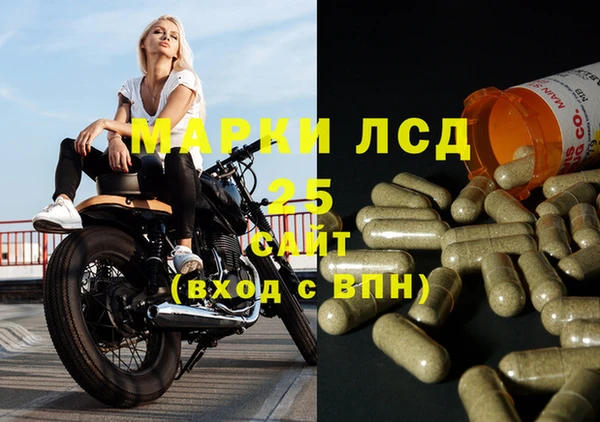 СК Новокубанск
