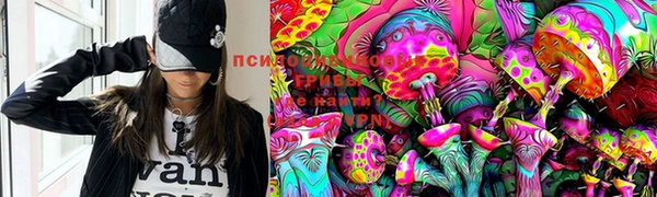 гашиш Новодвинск